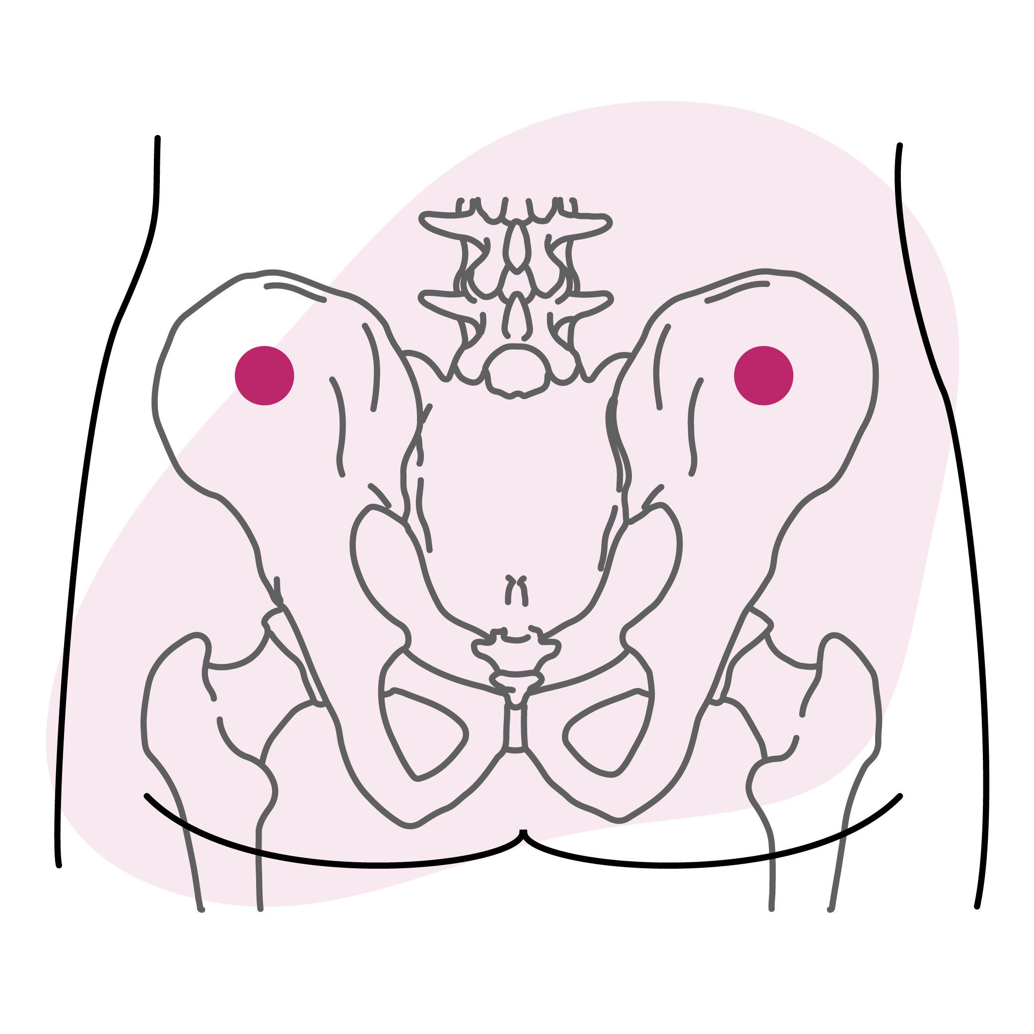 Le point du suricate