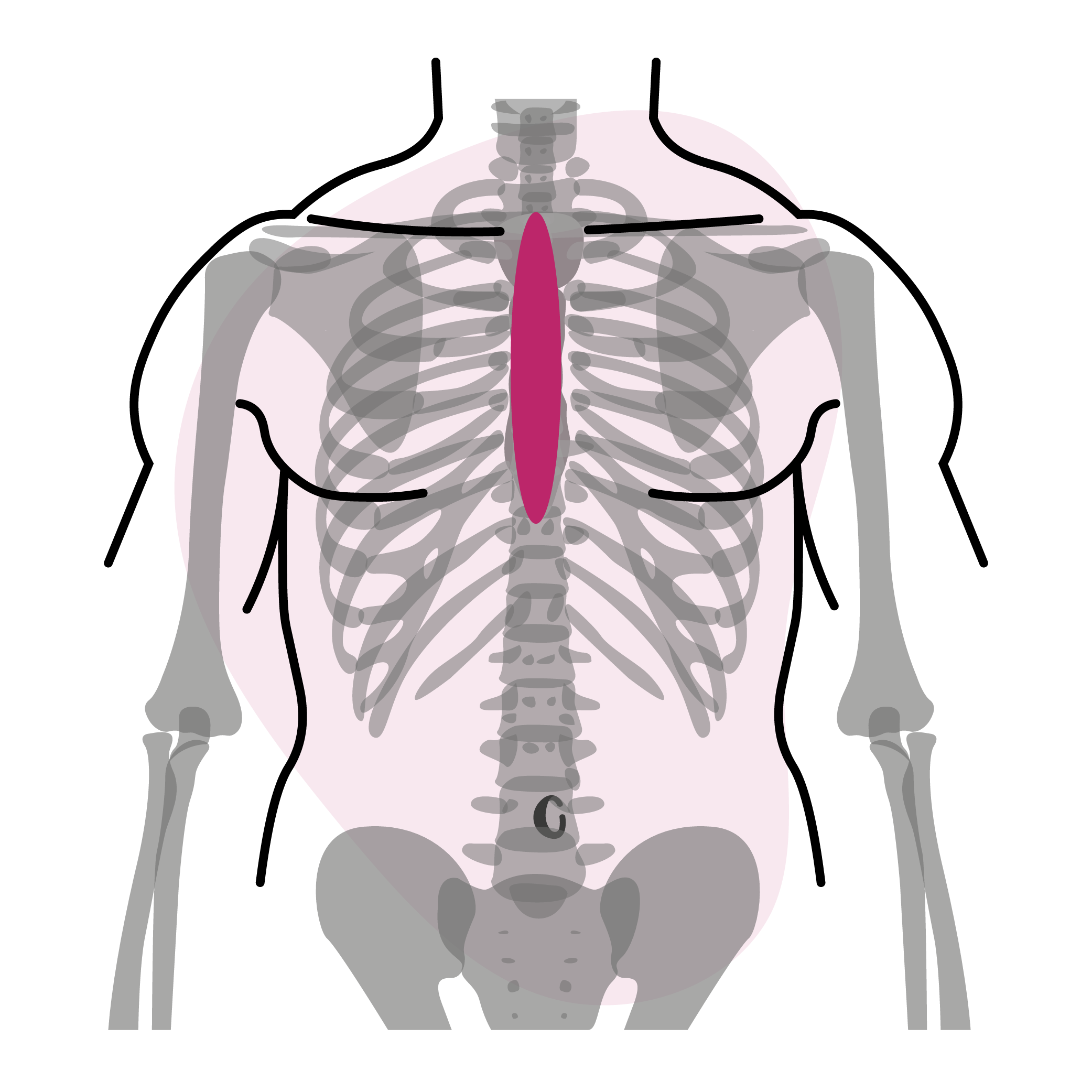 Apaiser l'animal intérieur