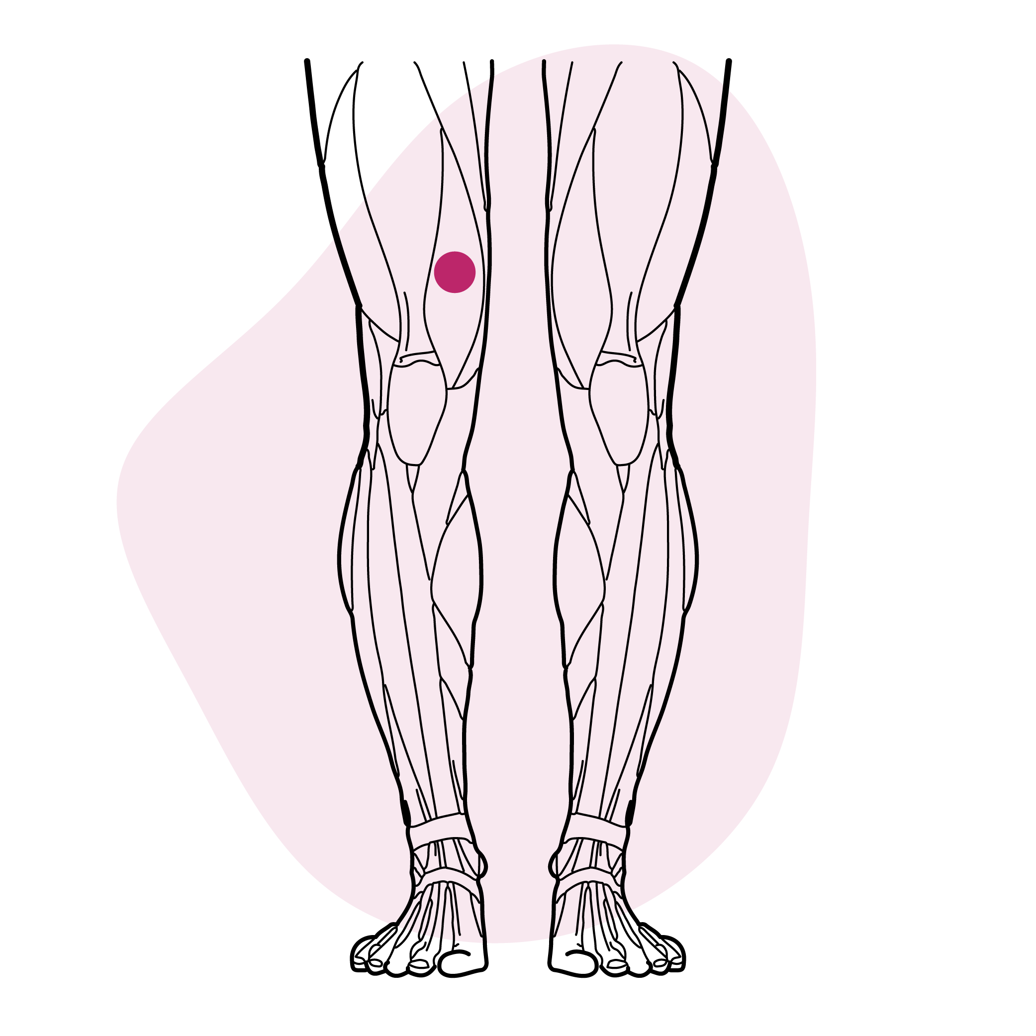 Laisser la vie circuler