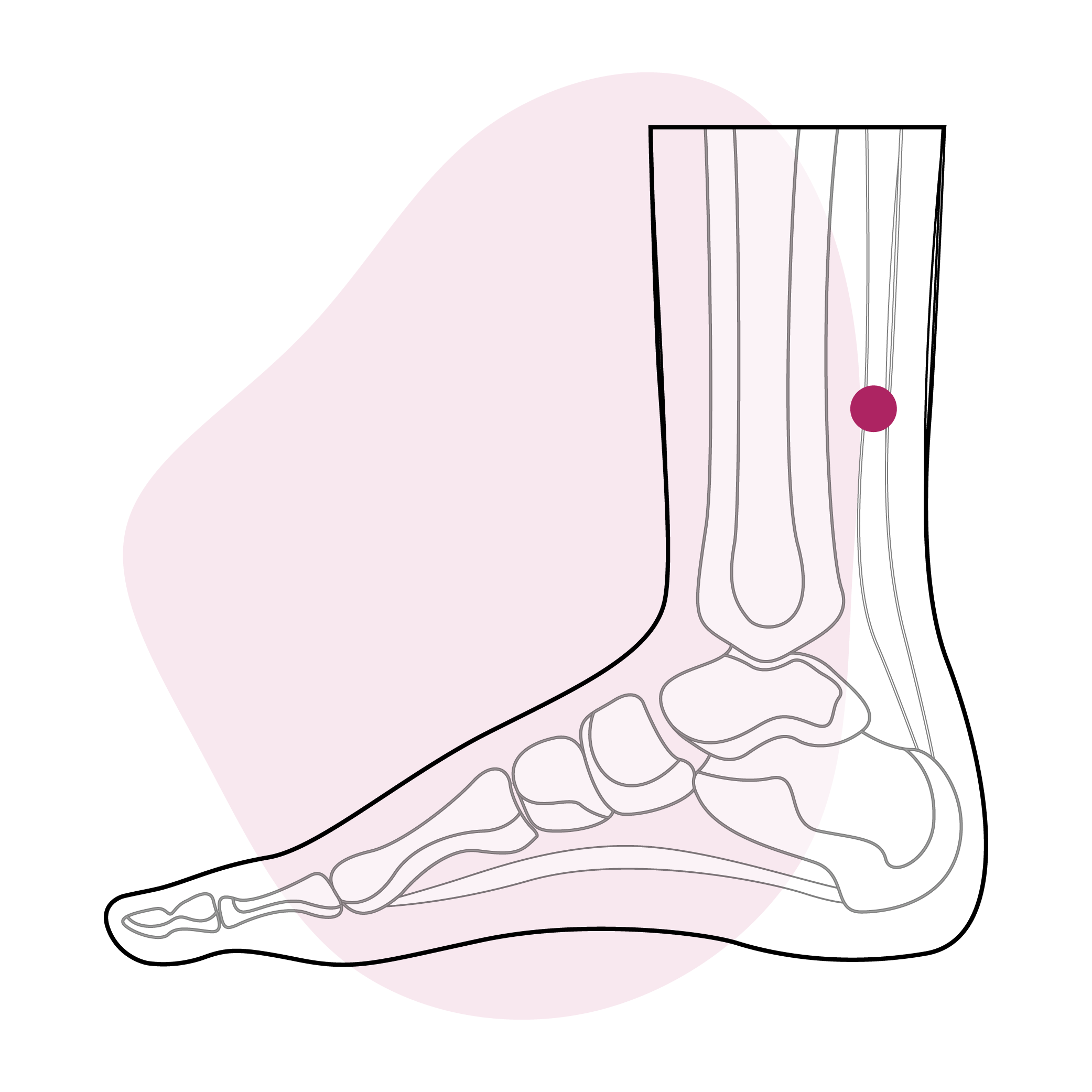 Remettre la vie en mouvement