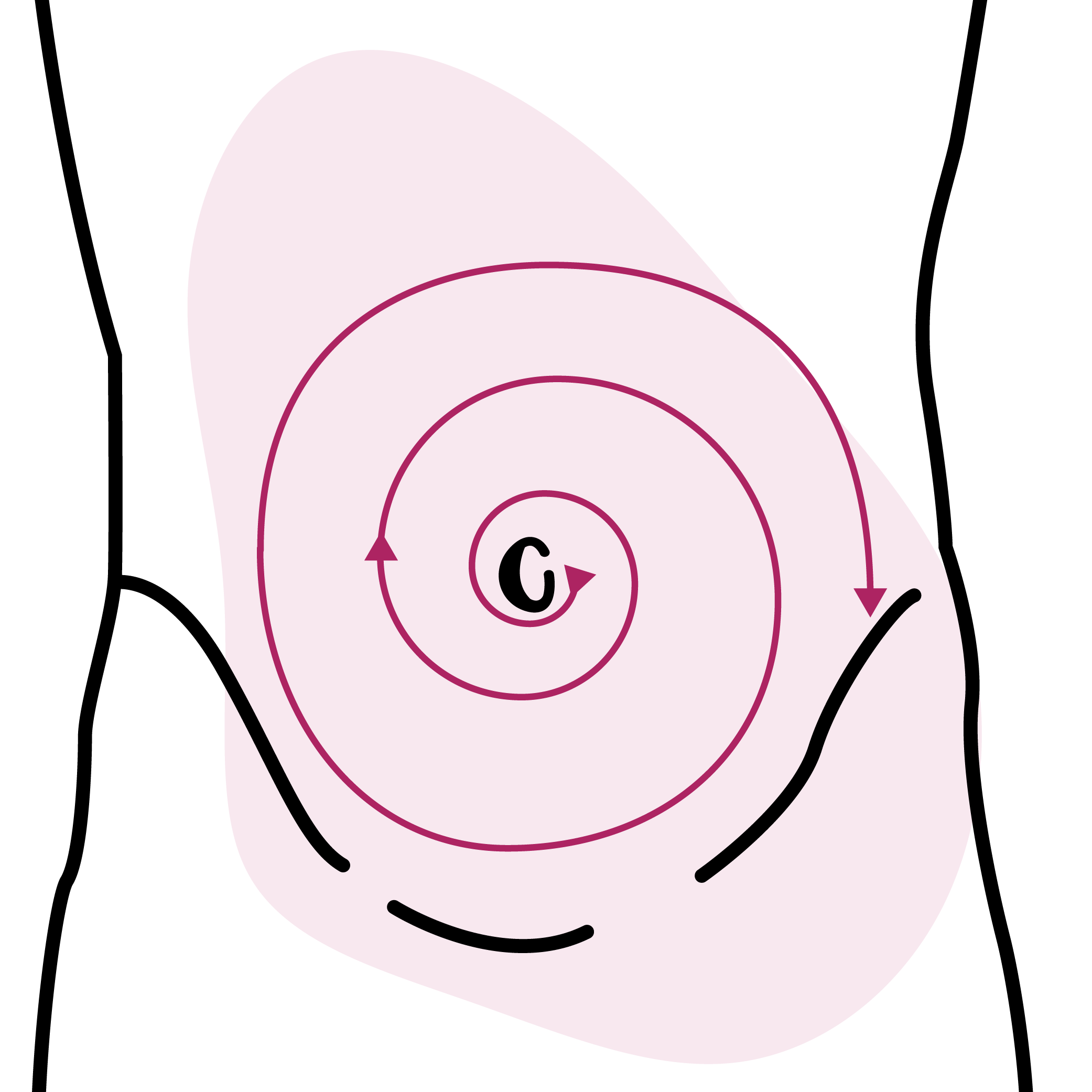 Les chemins du ventre