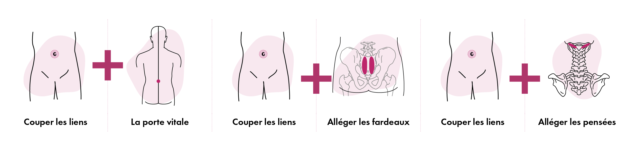 Protocole Vieilles Mémoires